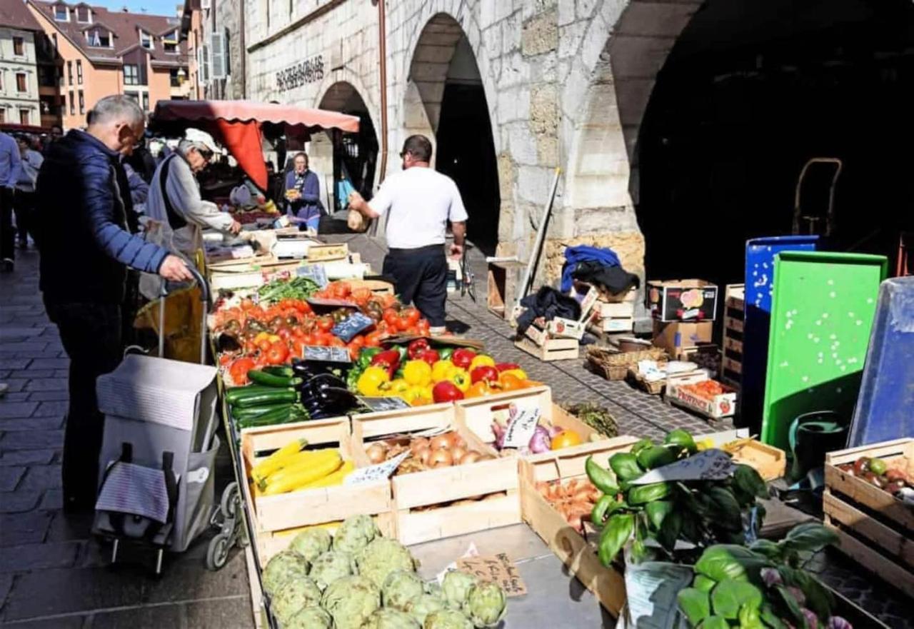 Belvedere Vieille Ville Annecy Ngoại thất bức ảnh
